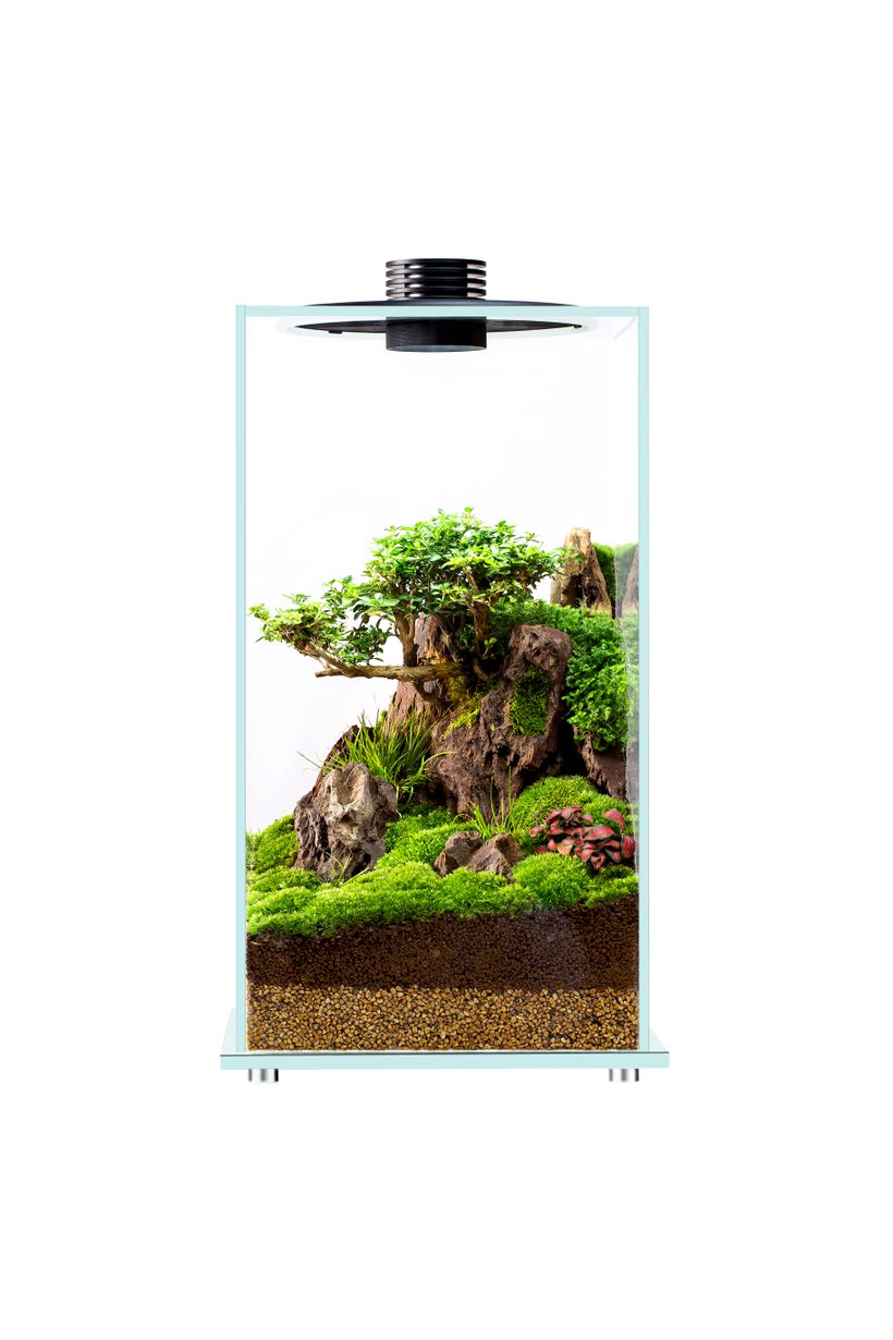 Bioloark Bio Bottle FD