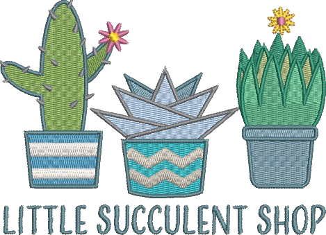 Little Succulent Shop Embroidery Hoodie