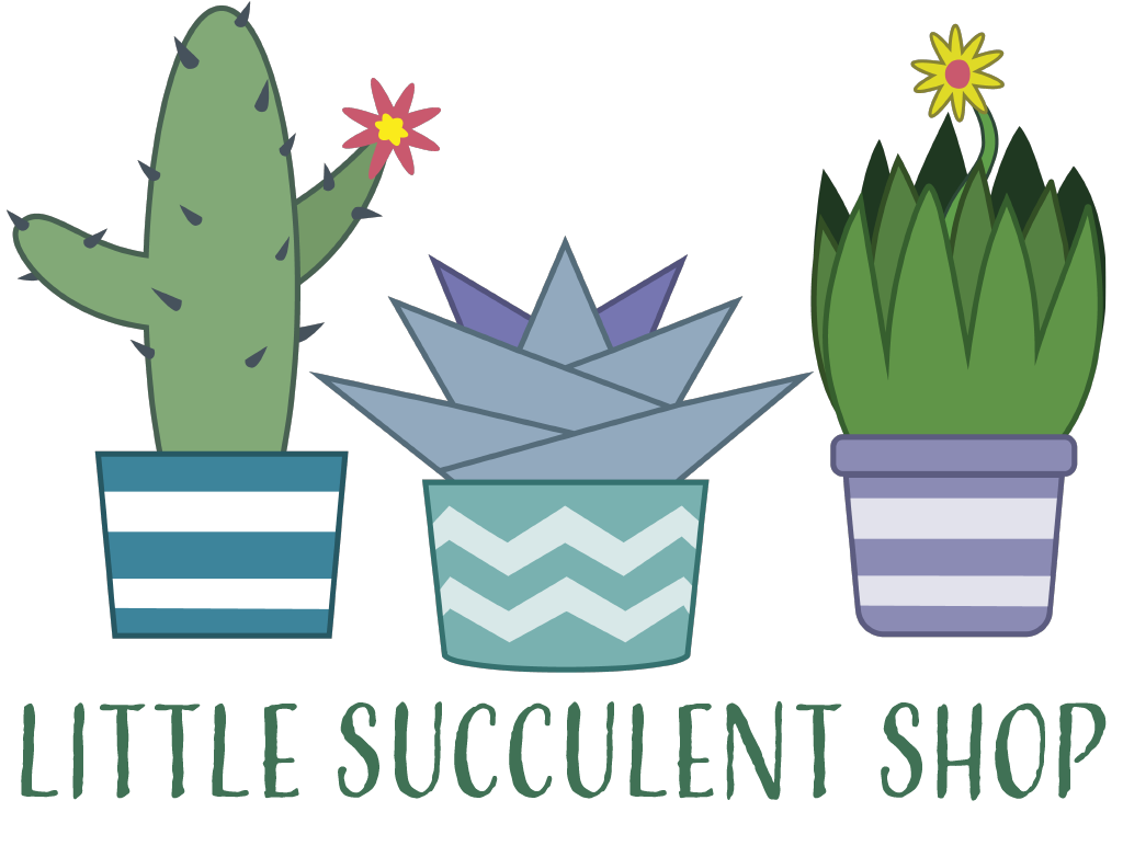 Little Succulent Shop Womens Shirts